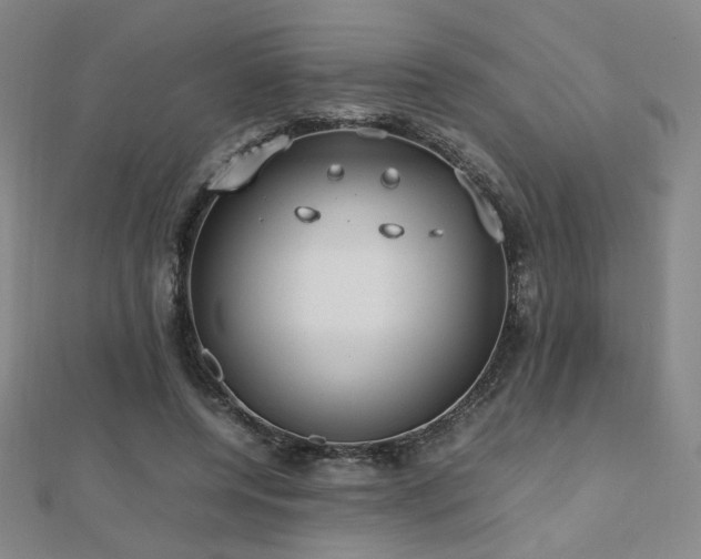 X0000112810544200908211146