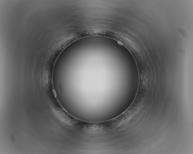 X0000112810546200908211146