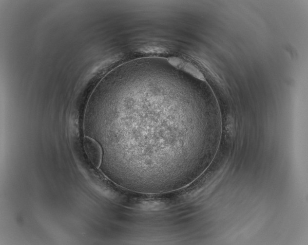 X0000112810547200908211146