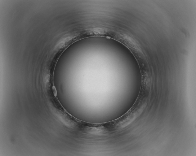 X0000112810548200908211146
