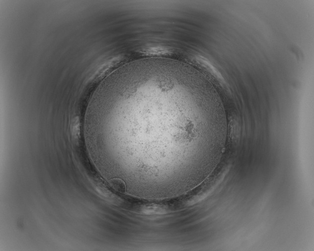 X0000112810549200908211146