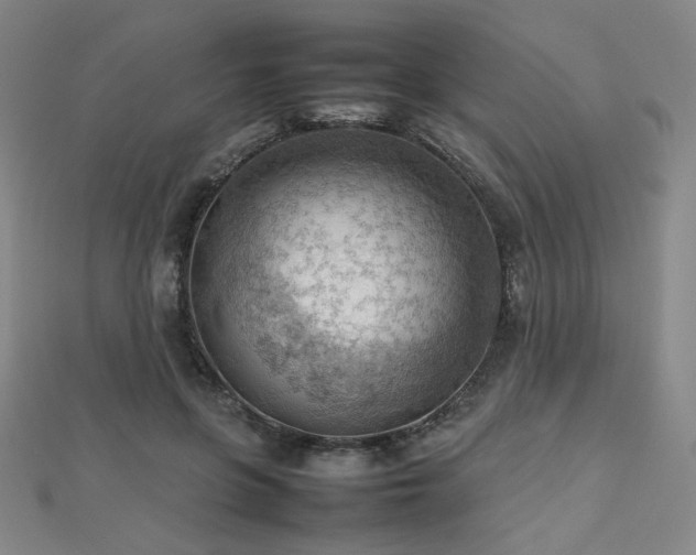 X0000112810551200908211146