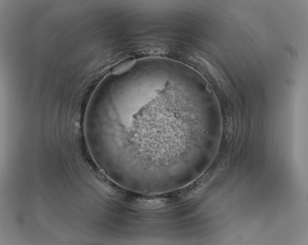 X0000112810553200908211146