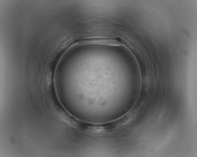 X0000112810554200908211146