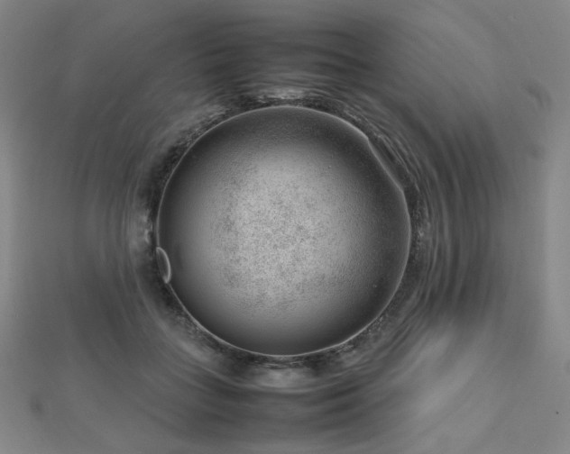 X0000112810555200908211146