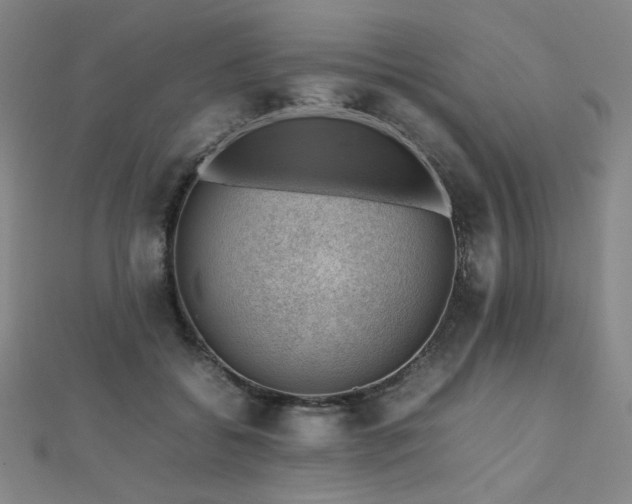 X0000112810556200908211146
