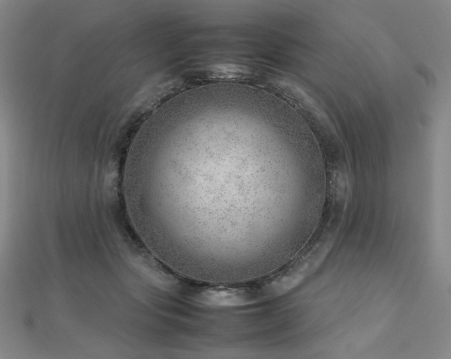 X0000112810557200908211146