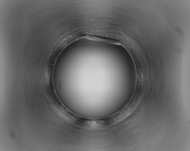 X0000112810558200908211146