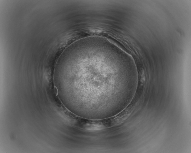 X0000112810559200908211146