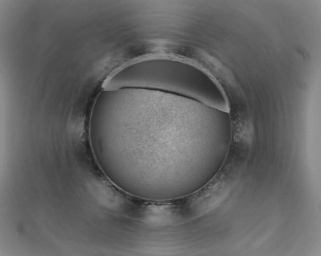X0000112810560200908211146