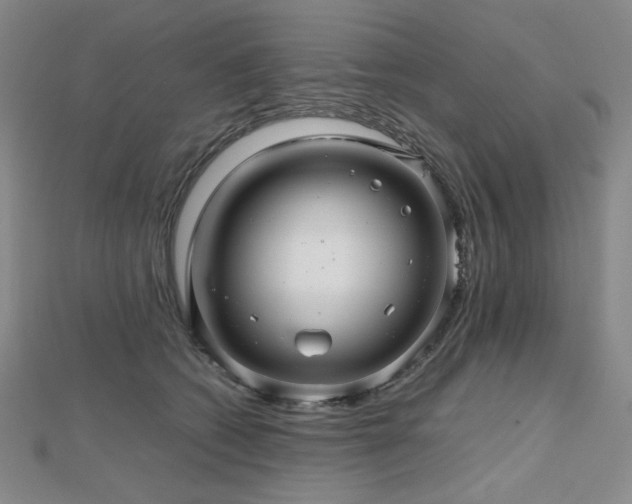 X0000112810562200908211146