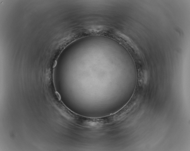 X0000112810563200908211146