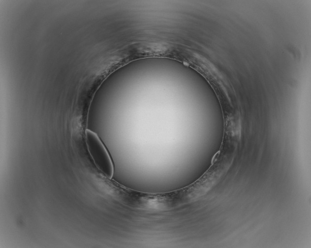 X0000112810564200908211146