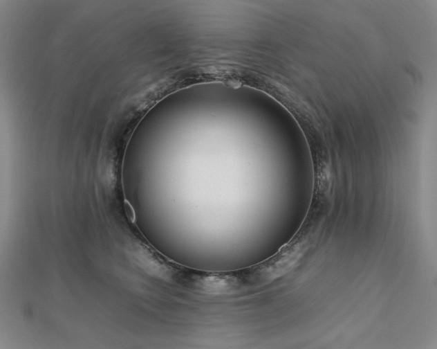 X0000112810566200908211146