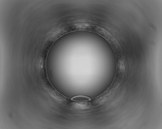 X0000112810567200908211147