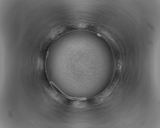 X0000112810568200908211147