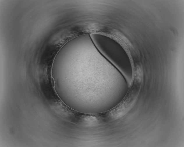 X0000112810572200908211147