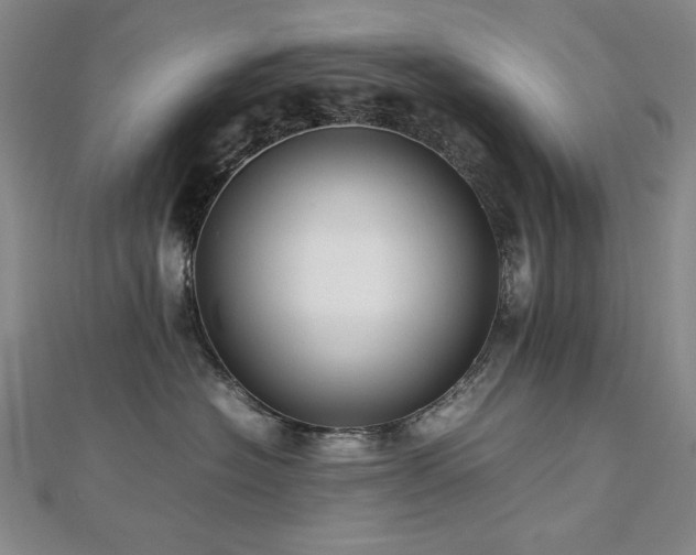 X0000112810574200908211147