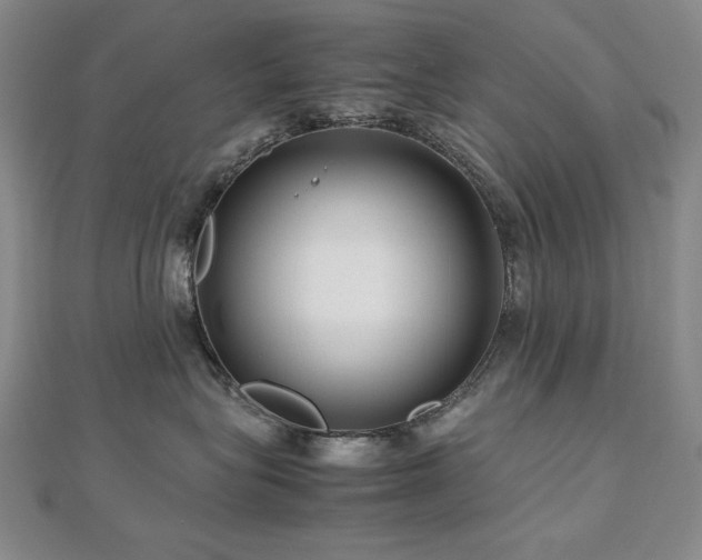 X0000112810575200908211147
