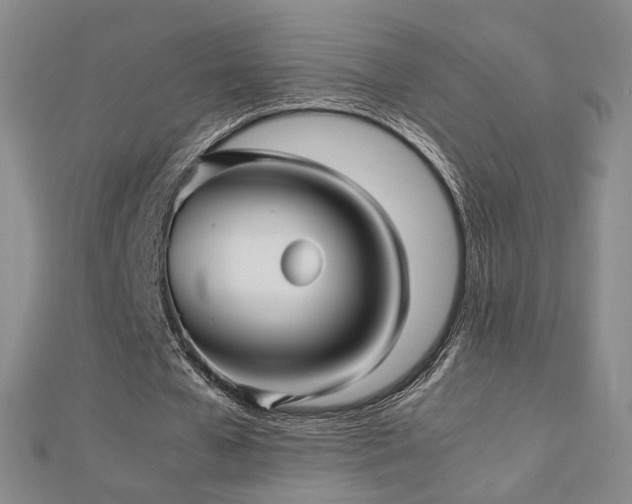 X0000112810577200908211146