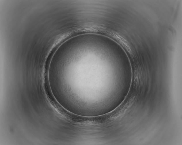X0000112810578200908211146