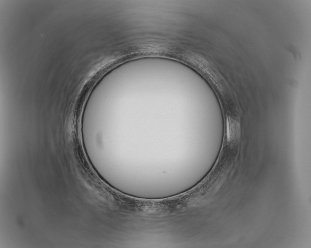 X0000112810579200908211146