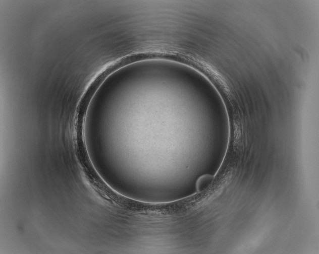 X0000112810580200908211146