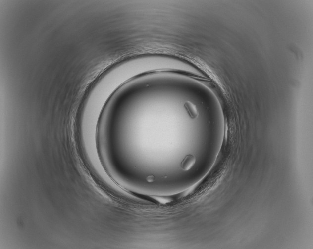 X0000112810581200908211146
