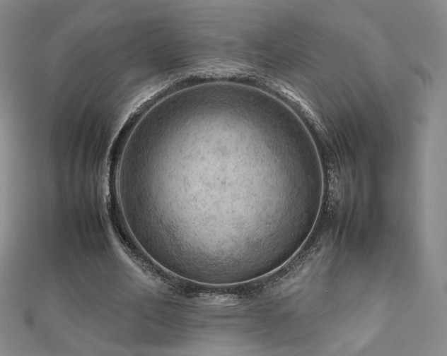X0000112810582200908211146