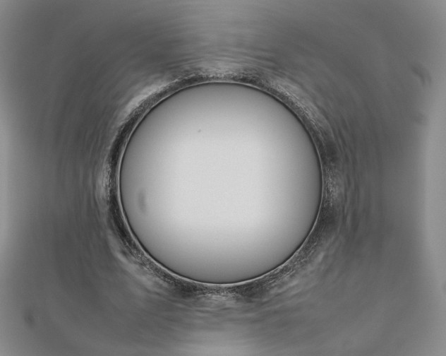 X0000112810583200908211146