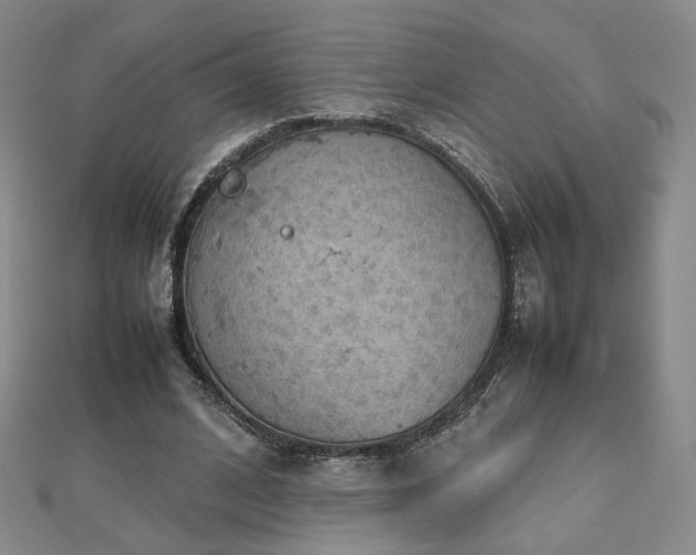 X0000112810584200908211146