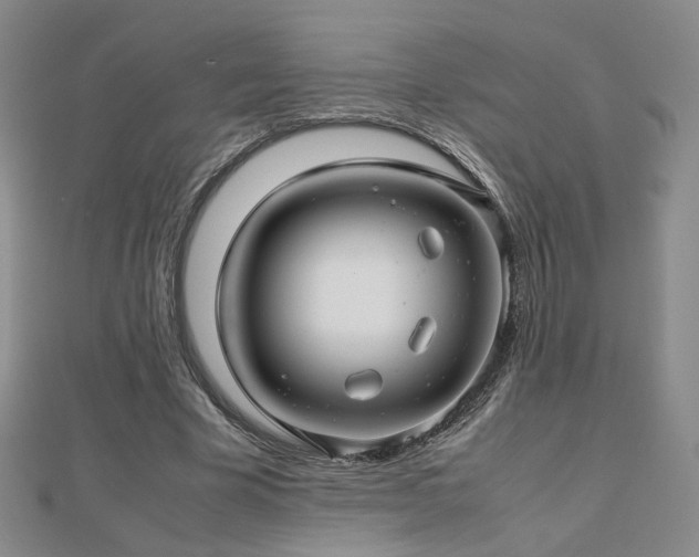 X0000112810585200908211146