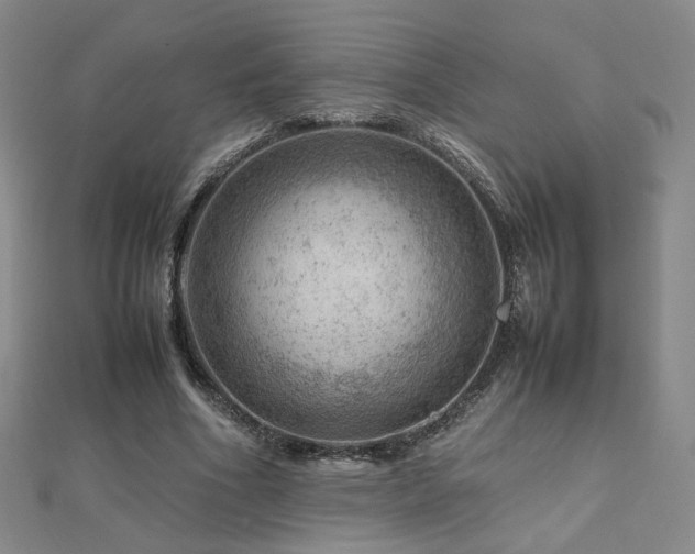 X0000112810586200908211146