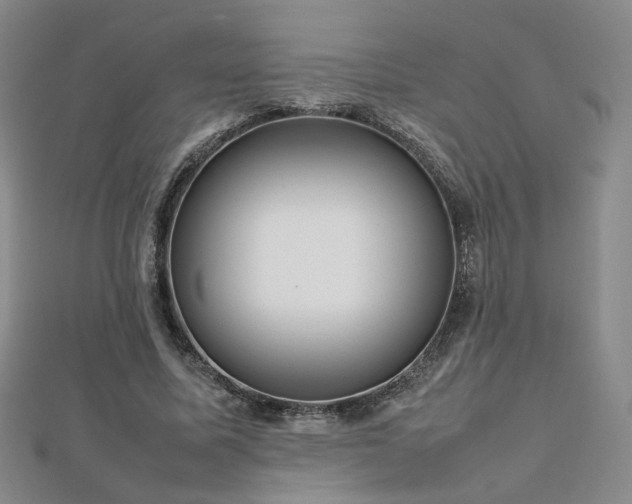 X0000112810587200908211146