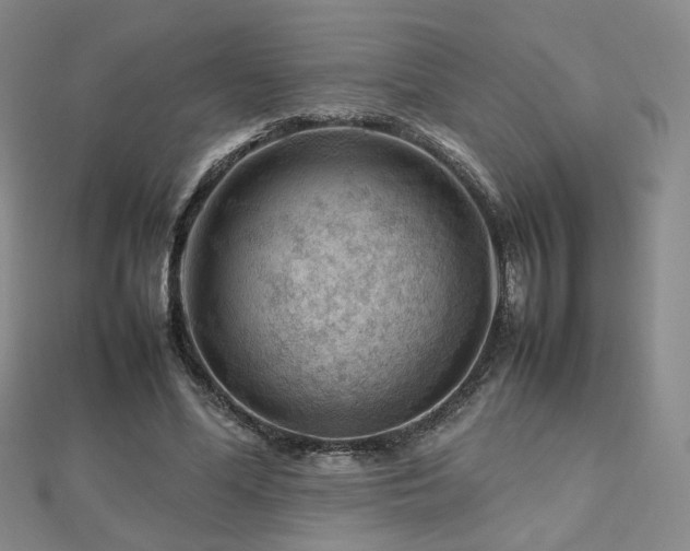 X0000112810588200908211146