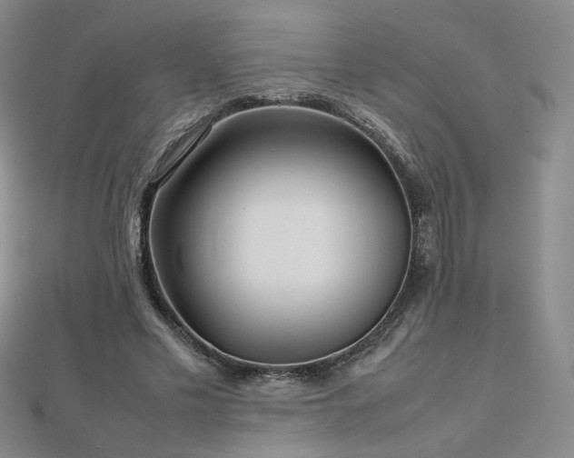 X0000112810589200908211146