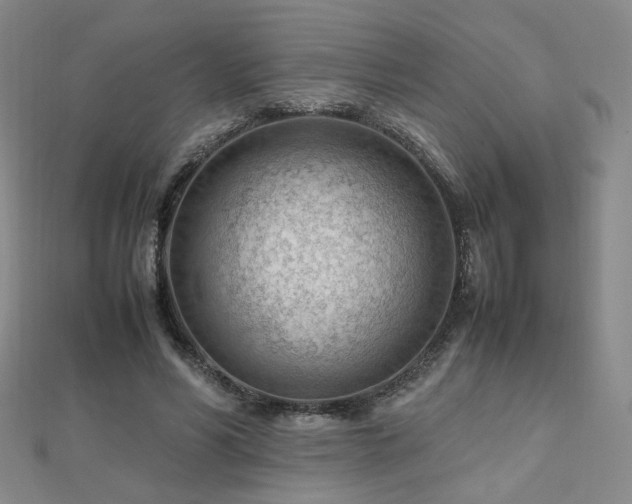 X0000112810590200908211146