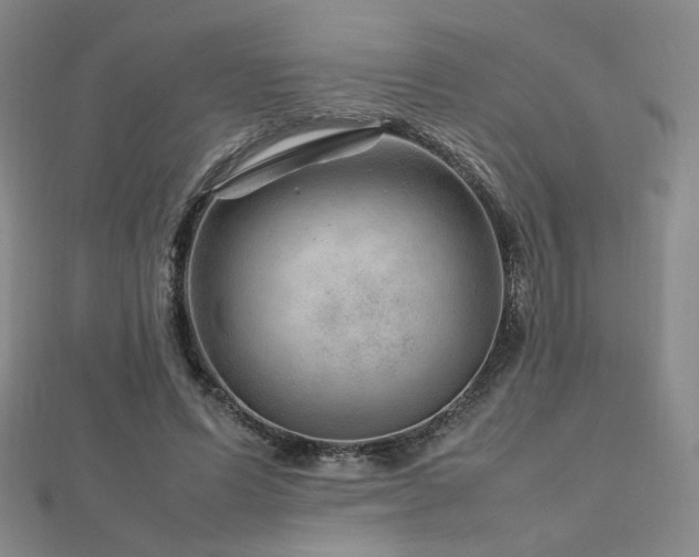X0000112810591200908211146