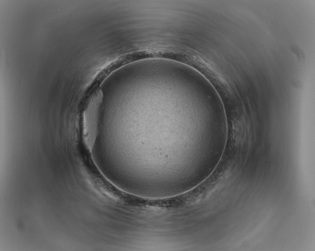 X0000112810592200908211146