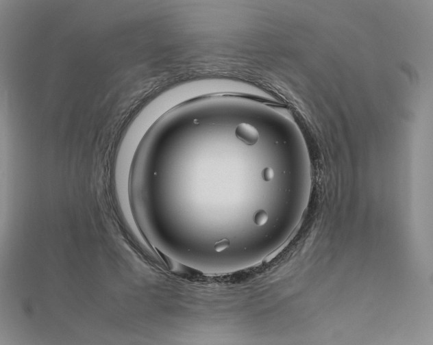 X0000112810593200908211146