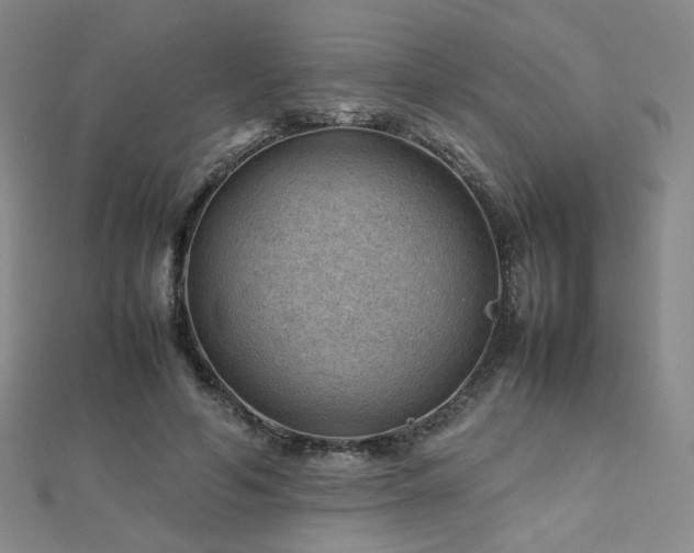 X0000112810594200908211146