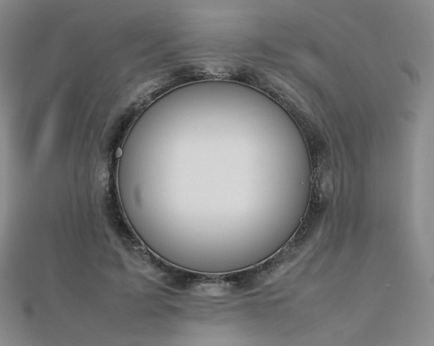 X0000112810595200908211146