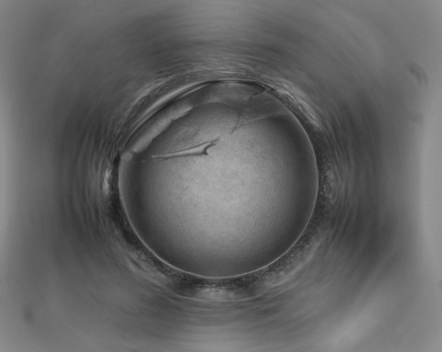 X0000112810596200908211146