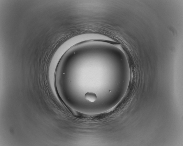 X0000112810597200908211146