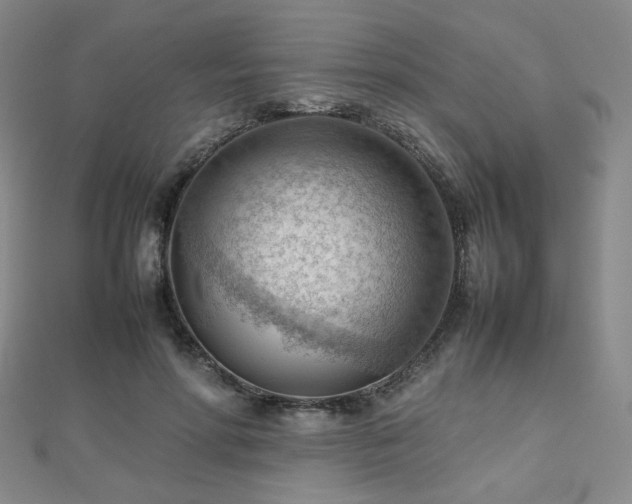 X0000112810598200908211146