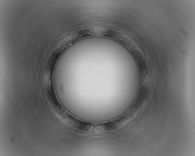 X0000112810599200908211146