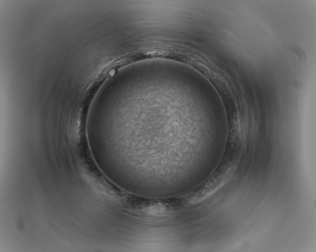 X0000112810600200908211146