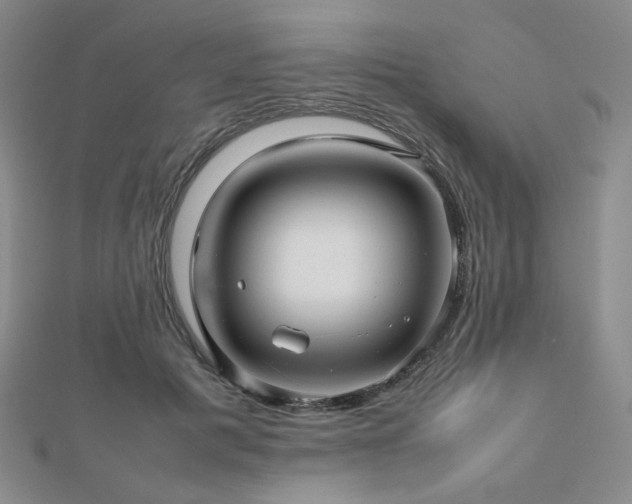 X0000112810601200908211146