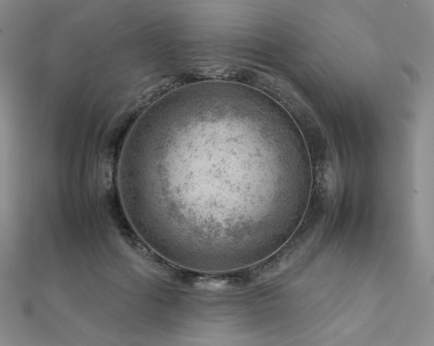 X0000112810602200908211146