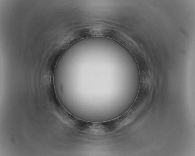 X0000112810603200908211146